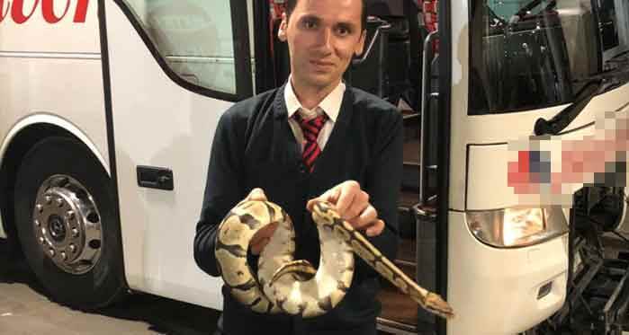 Yolcu otobüsünde yılan paniği!