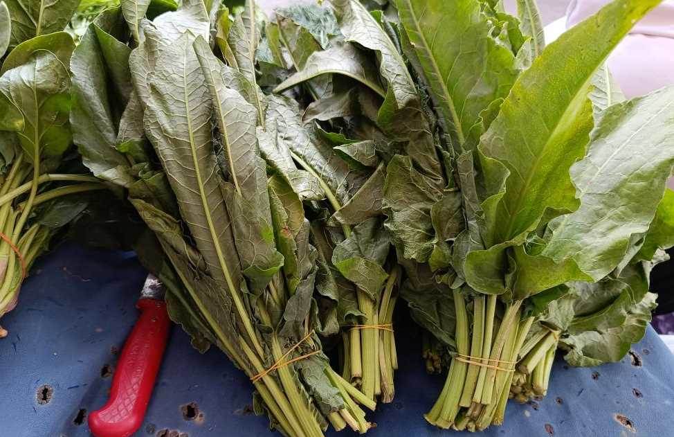 Eskişehir pazarında ilginç sebze: 10 liradan …