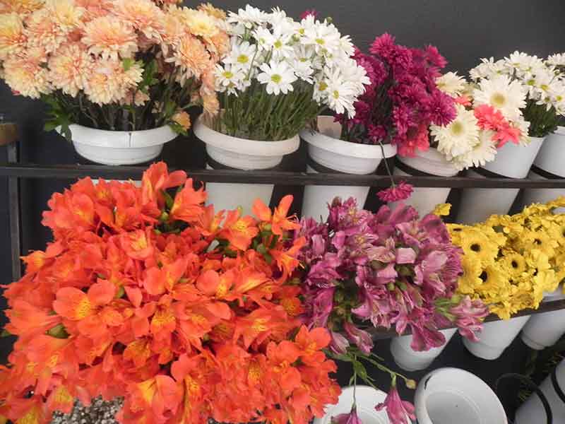 Eskişehir'de bu çiçeğe yoğun talep var 8.04.2023