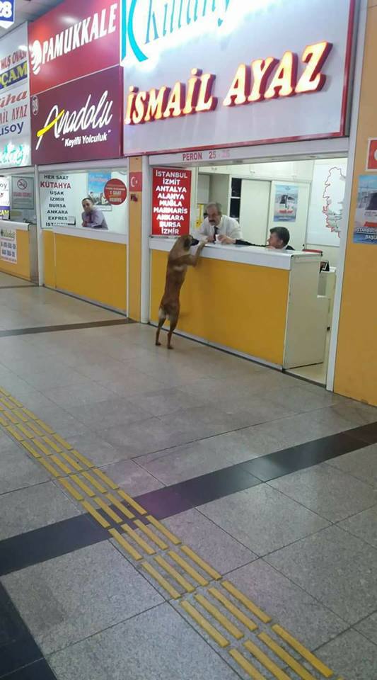 Bu kare Eskişehir'de gündem oldu