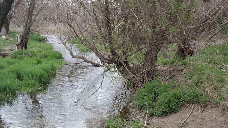 Frigya asıl şimdi yok oluyor! 4.2.2023