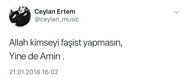 Ceylan Ertem sosyal medyada linç edildi