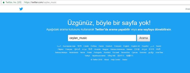 Ceylan Ertem sosyal medyada linç edildi