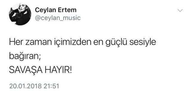 Ceylan Ertem sosyal medyada linç edildi