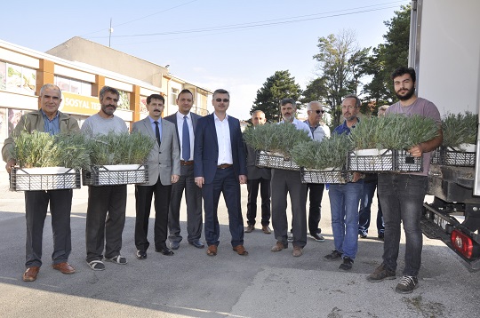 Eskişehir lavanta kokacak