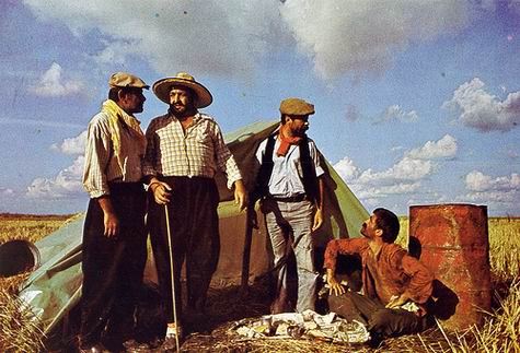 Bereketli topraklar üzerinde