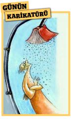 ali baş karikatür 18 aralık