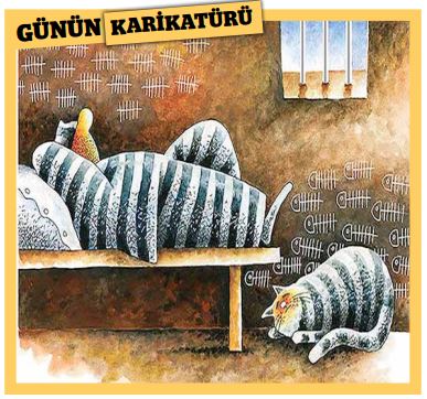 ali baş karikatür
