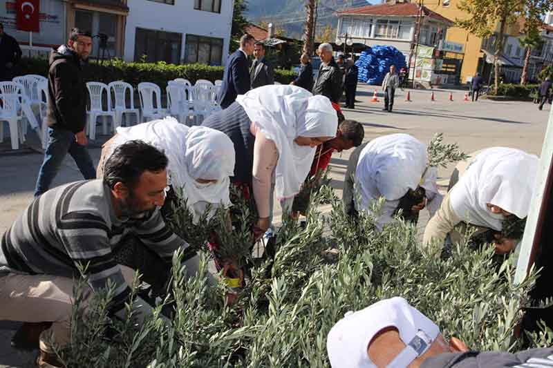 Eskişehir'de önemli proje: Tam 12 bin 500 fidan... 31.10.2022