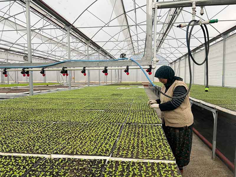 Eskişehir'de her yıl 20 milyon adet üretiliyor! 19.1.2023