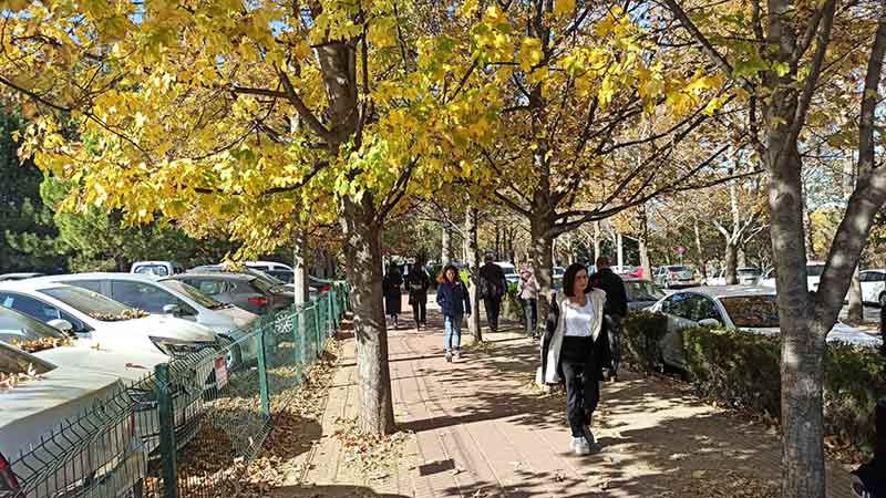 Eskişehir sokaklarında hayran bırakan manzaralar 5.11.2022