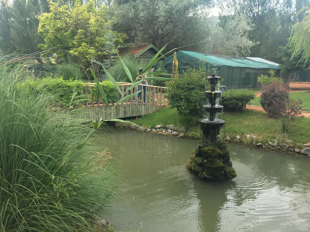 Mini hayvanat bahçesi