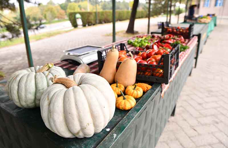 Eskişehir'de o pazar büyük beğeni topluyor 4.11.2022