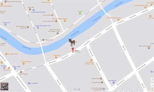 Çekirdek Çitleyen Eşekli yol tarifi