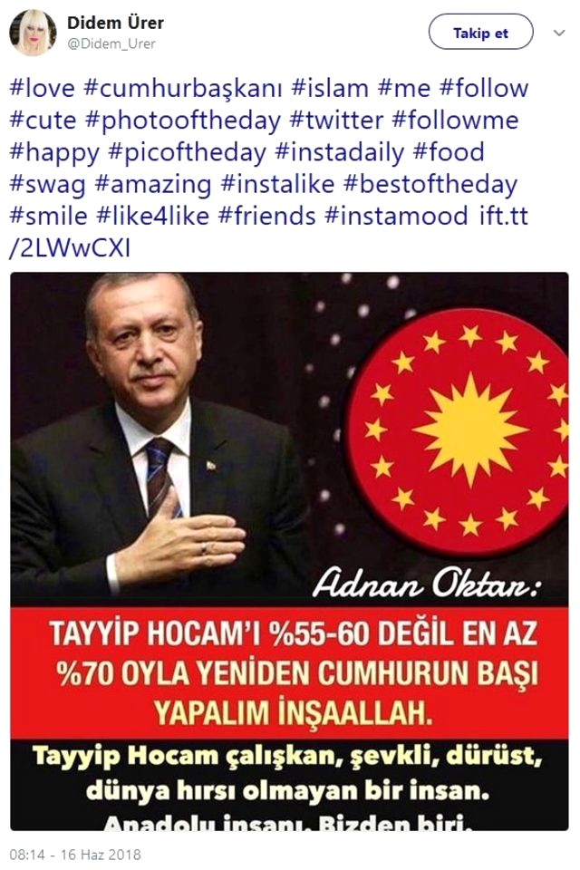 Kedicikler kime oy verecek! İşte cevabı...