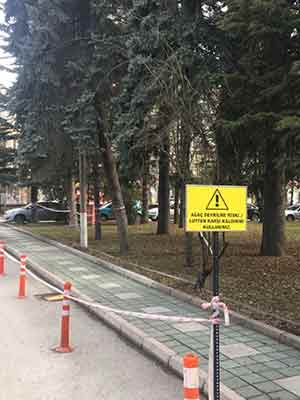 Ağaç Devrilme riski uyarısı