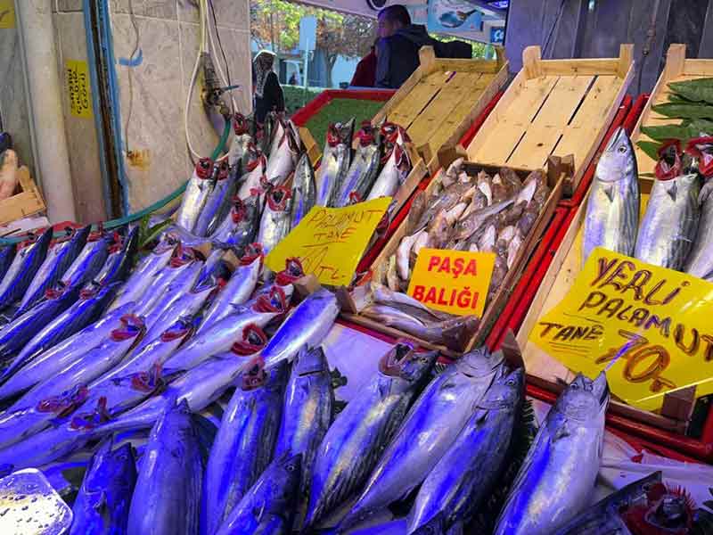 Eskişehir'de tezgahlar bereketlendi, fiyatlar düştü 18.10.2022