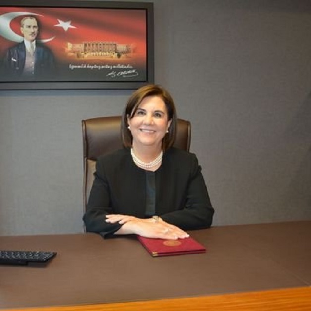 Bir Tweet / Gaye Usluer