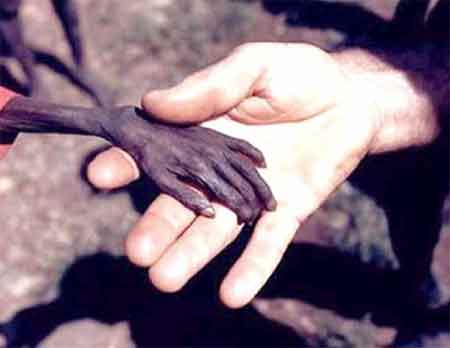 Dünya İnsanları - 17.12.2018