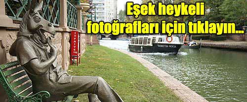 Eskişehir çekirdek çitleyen eşek fotoğrafları