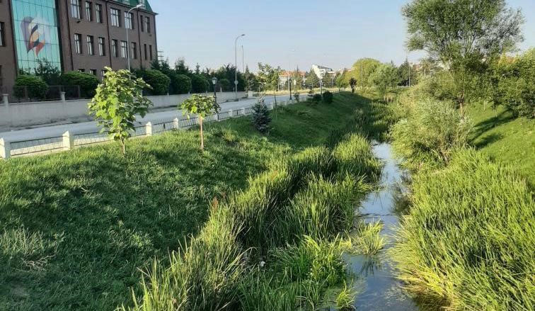 Eskişehir balık ölümleri 16 07 2023