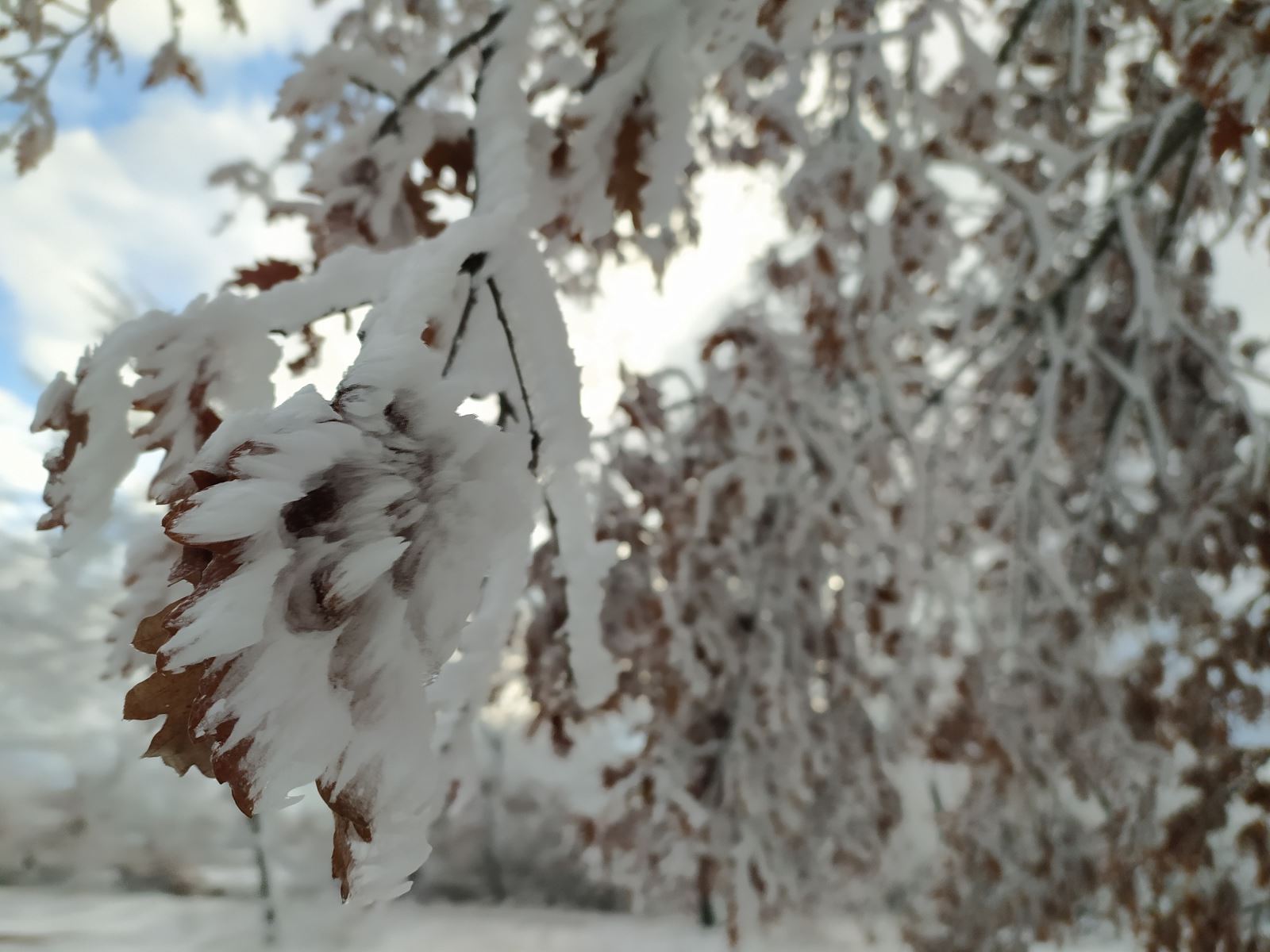 Eskişehir hava durumu bugün 15 Şubat 2021 Pazartesi
