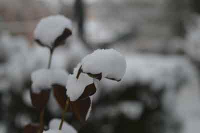 Eskişehir hava durumu bugün 25 Mart 2021 Perşembe