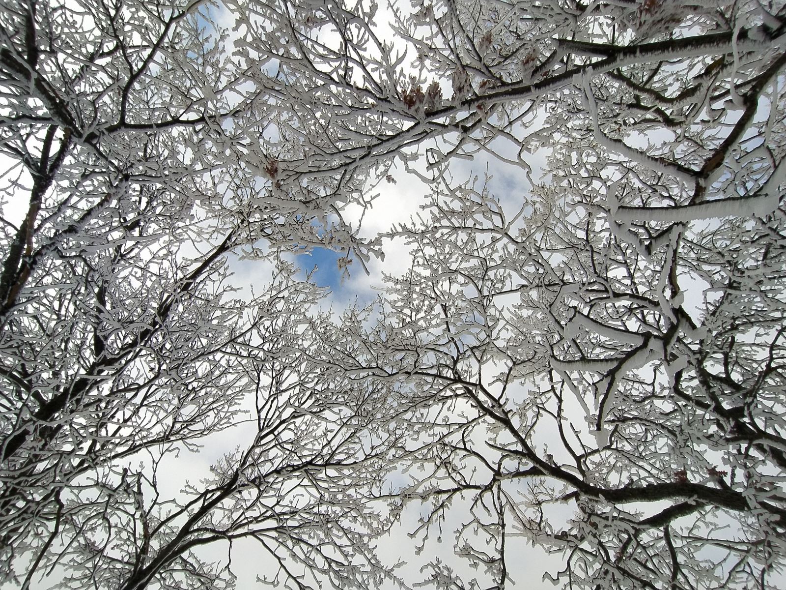 Eskişehir hava durumu bugün 28 Ocak 2021 Perşembe