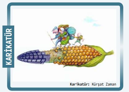 Karikatür Arif Anbar