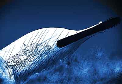 Günün Karikatürü 06 09 2020