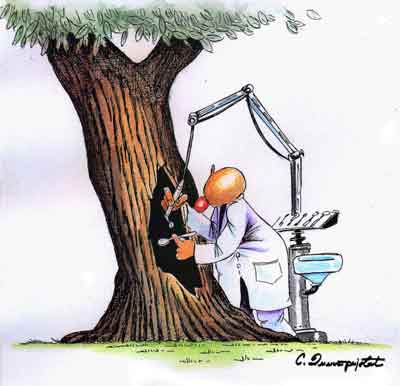 günün karikatürü 24 şubat 2021