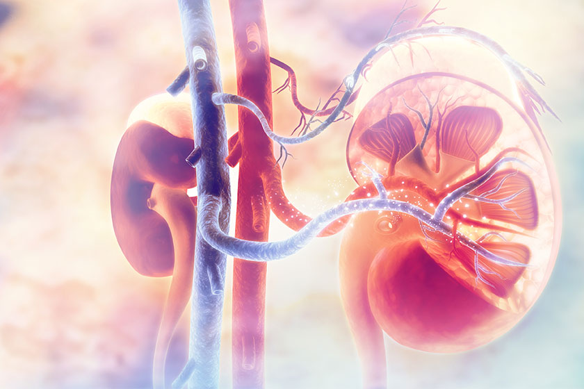 kronik hastaliklar 22 03 2020