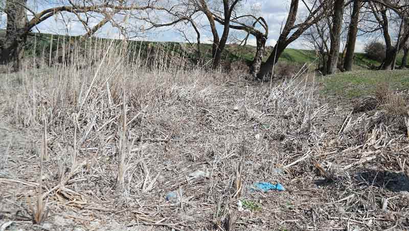 Fotoğraf: Susuz Seydi Çayı (Kemal Polat) 21.03.2023