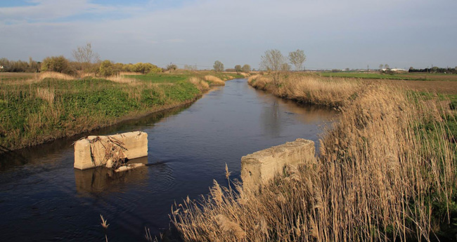 Lüleburgaz'ın Müsellim köyü