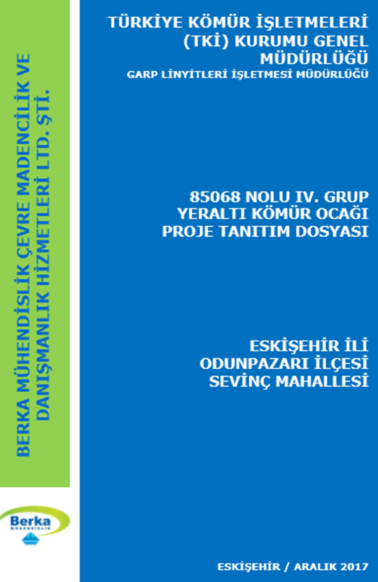 Odunpazarı’na sıçrayan tehlike!