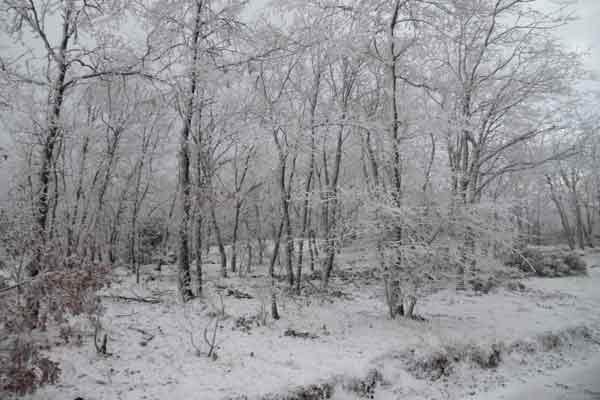 Eskişehir’de gece başlayan ve sabah saatlerinde de devam eden kar yağışı, yüksek kesimleri etkisi altına aldı.