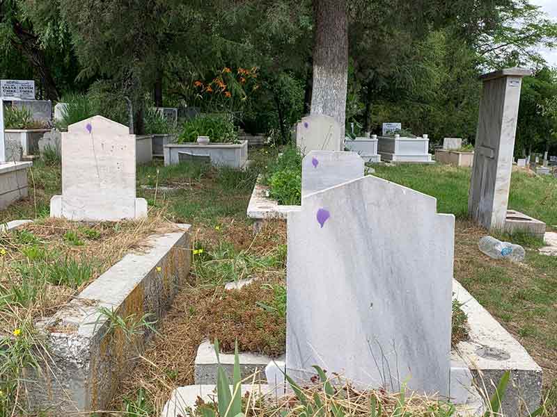 Odunpazarı Mezarlığı'nı ziyaret eden vatandaşlar, ilginç bir manzarayla karşı karşıya kaldı. 