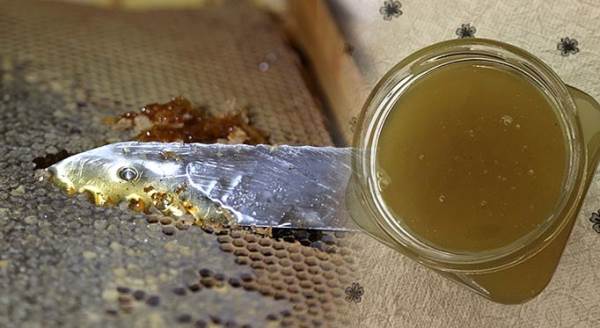 20 bin liraya satılıyor: Daha önce böyle bal görmediniz!