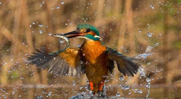 2016'nın en iyi kareleri
