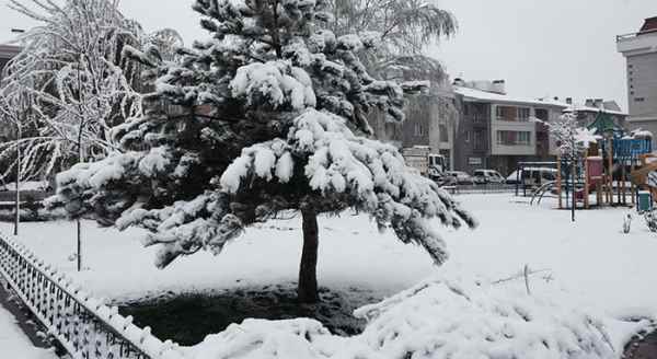 24 Nisan 2017 Eskişehir'de lapa lapa kar