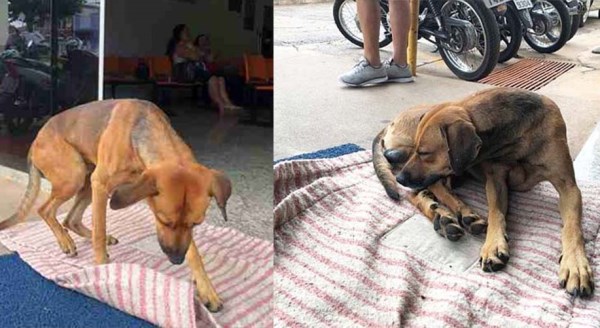 4 aydır aynı yerde bekliyor!