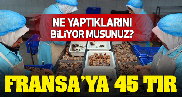 7 milyon dolar civarında gerçekleşti