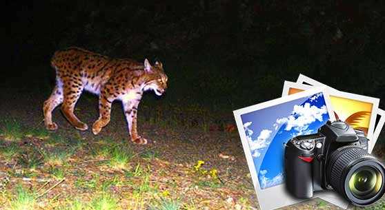 AFRİKA DEĞİL ESKİŞEHİR