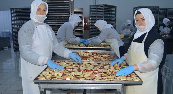 Afyon'dan 13 ülkeye cips ihracatı