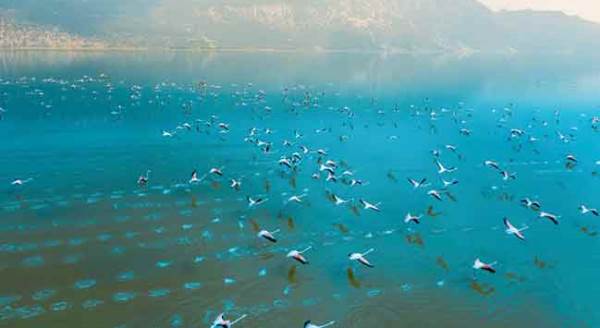 Afyonkarahisar'da büyüleyen gösteri!