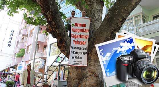 AĞAÇ DALINDA BASIN AÇIKLAMASI