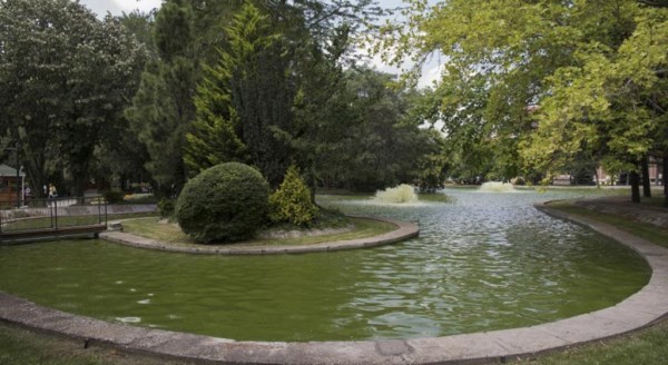 Anadolu Üniversitesi daha yeşil