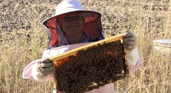 Arı fobisi işe dönüştü yılda 750 kilo bal üretiyor