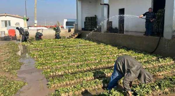 Artık Eskişehir’de de üretiliyor, fiyatı ise...