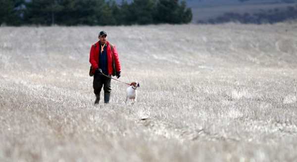AV KÖPEKLERİ ESKİŞEHİR'DE YARIŞTI